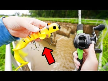 CRAZY Musky Fishing Lure Catches BIG BASS!