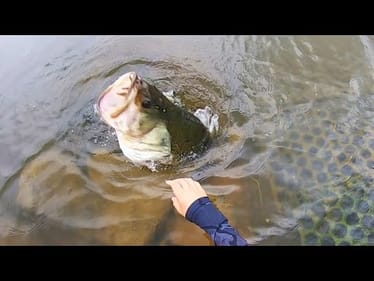 I dropped my lure on top of a GIANT BASS!