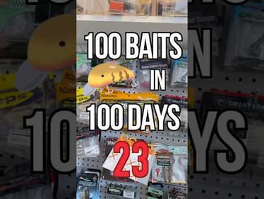 100 Baits In 100 Days - Day 23: Ultra Realistic OSP Deka worm #fishing