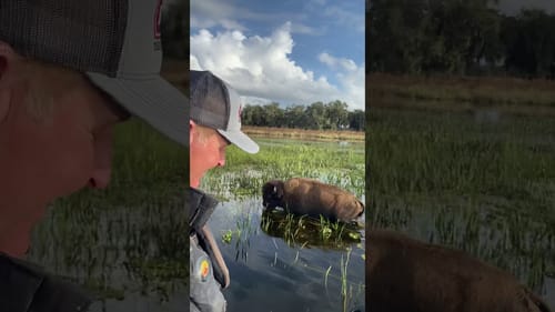 Buffalo’s and the BASS Open