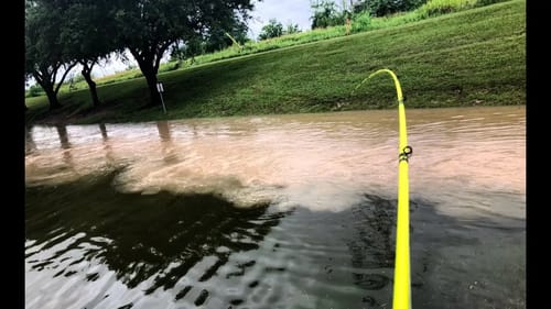 Fishing MUDDY RUNOFF in a FLOODED POND!