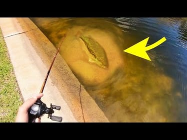HUGE BASS in CRYSTAL CLEAR WATER!!! (INSANE)