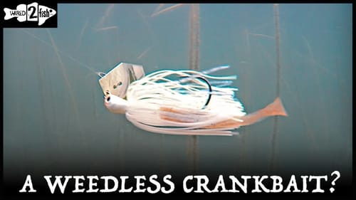 How to Set the Hook With Chatterbaits