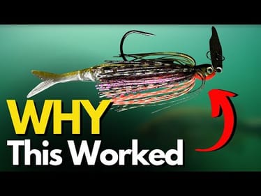We ALL Deal With THIS Prespawn Issue When Bass Fishing