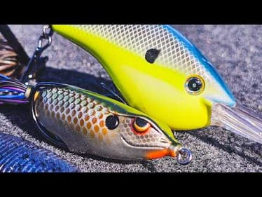 How To Catch Bass When Its HOT Outside!