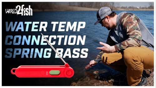 Bank Fishing Ponds for Spring Bass