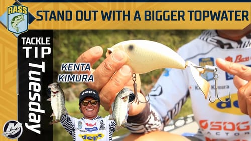 Upsize topwaters even with pressured bass situations
