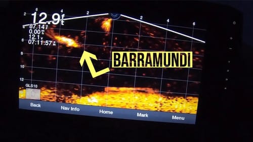 Barramundi Encounters with the Garmin Panoptix Livescope - Big Barra Dreams Part 4