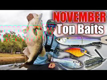 DON'T go Fishing in November without THESE Baits!! (Top 5 Baits November)
