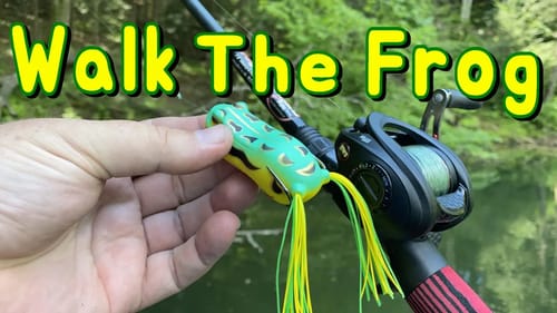 How to Walk The Frog - Popping Frogs for Summer Bass