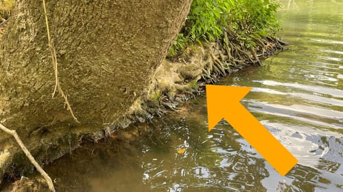 Most Guys Are Clueless About Fishing Tree Roots…(On The Water Demo)