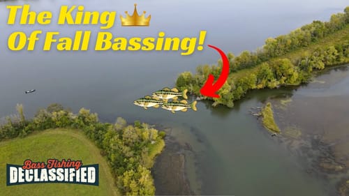 The Undisputed Champion Of Fall Fishing!
