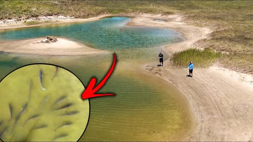 saving fish from saltwater puddle ponds!  (too late now) Part 2