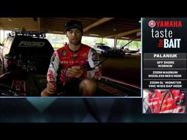 Taste the Bait: Brandon Palaniuk’s winning Sam Rayburn setups