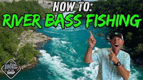 Unlock the Secrets of River Bass Fishing: Universal Techniques for Year-Round Success!