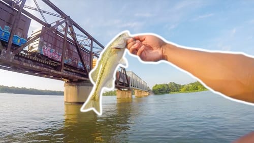 FISHING MY FIRST BIG FISH TOURNAMENT