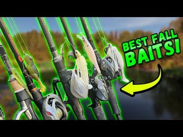 Our Top 5 Lures GUARANTEED To Catch BIG Fall Bass!