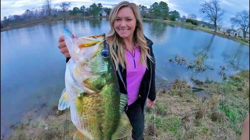 How to Catch MONSTER Bass in the WINTER!