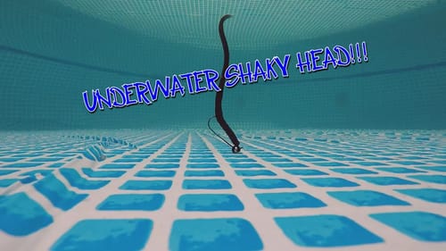 UNDERWATER ACTION: SHAKY HEAD!!!