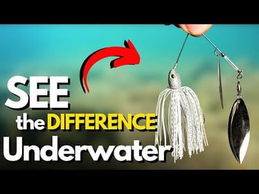 The MOST Effective Retrieve for a Spinnerbait (Watch Underwater)