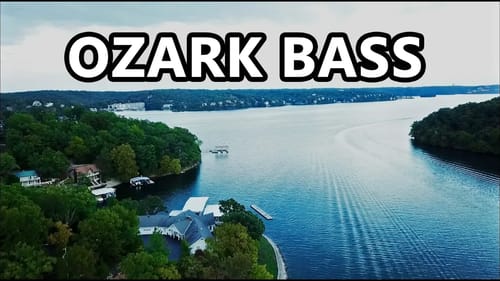 Crushing OZARK Bass With Nick Ault! What A Blast!