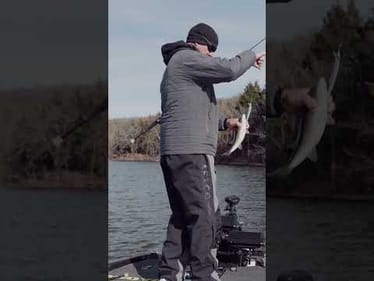 Wintertime SUNNYING Bass! (Jerkbait Fishing)