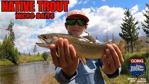 Chasing Down NATIVE Trout with MICRO plastics in Colorado!