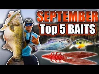 September Fishing SUCKS!! -Outfish EVERYONE w/ My Top 5 Baits!