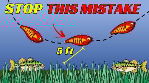 STOP Fishing Lipless CRANKBAITS Like This