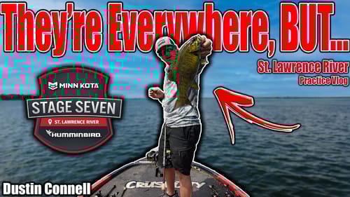 This Place is LOADED, BUT... MLF Stage 7 St. Lawrence River - Practice Vlog