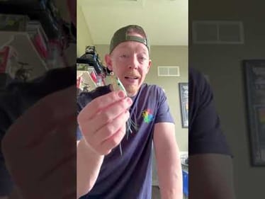 Froggin' Tips!