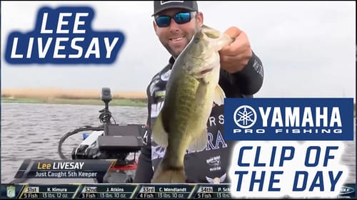 Yamaha Clip of the Day: Lee Livesay stays in Top 5 with last second catch