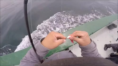 Fishing Morro Bay