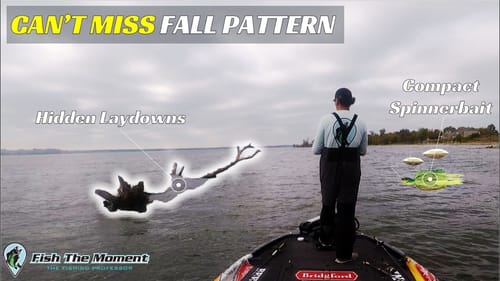 Pro Angler's Go-To Fall Pattern for Big Bass