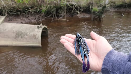 HUGE Jig Catches GIANT Bass While Bed Fishing