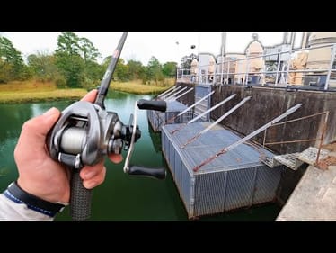 Fishing For GIANT Bass In URBAN Ponds! (Bank Fishing)