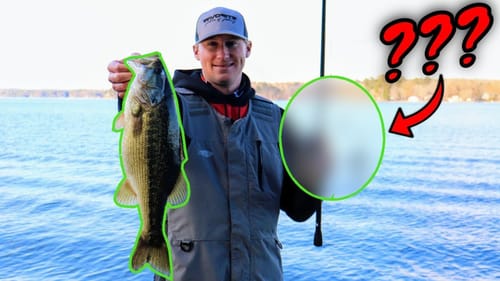The BEST Winter Lure? (Controversial Bait)