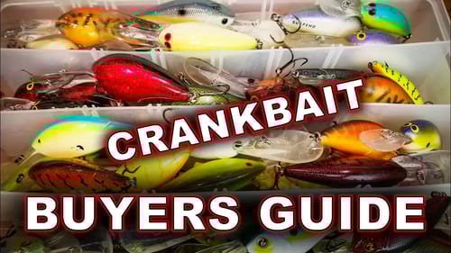 Which Deep Crankbaits Actually Catch Fish?? | Crankbait Buyer's Guide