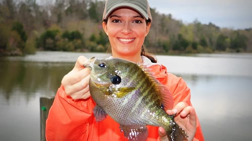 Liz Caught a MASSIVE Bluegill!