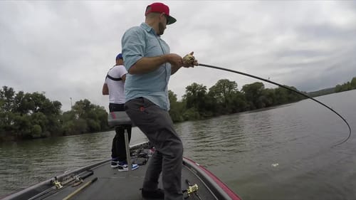 Big Bass Nightmare Losing a PB on the Swimbait