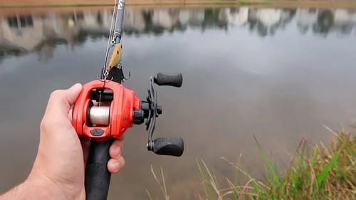 Bank Fishing An Urban Pond (LOADED w/ HUGE BASS)