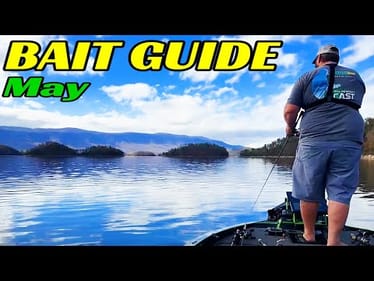 The 5 Baits That Catch Fish in EVERY May Condition