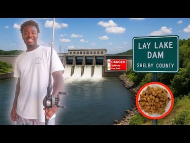 Dam Fishing for Whatever Bites (Catch, Clean & Cook)