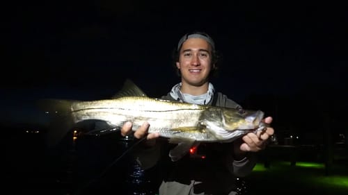 Dock Light Madness