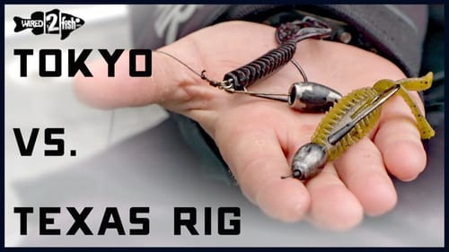 Tokyo Rig vs. Texas Rig | Patrick Walters Shares Thoughts