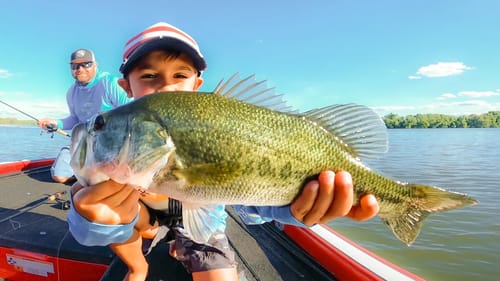 Finesse Underspin Swimbaits For Summer Bass!