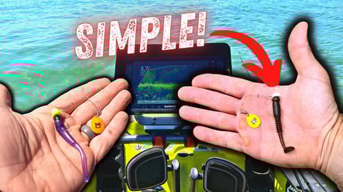 THIS Simple Lure Catches EVERYTHING On A Pressured Lake!