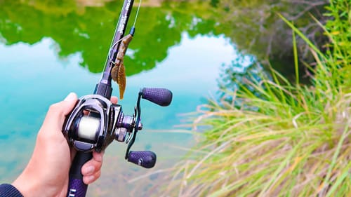 Fishing for GIANT Bass in Ultra CLEAR Water (Jon Boat Fishing)