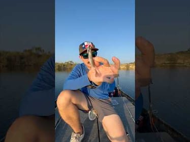 Catching a fish in less than 1 second #fishing