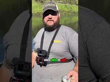 Weedless Jig head minnow in Brush and Standing Timber